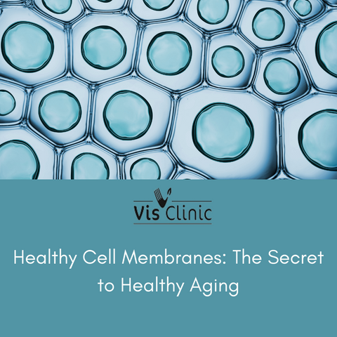 Healthy Cell Membranes: The Secret to Healthy Aging
